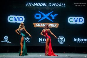 FIT-MODEL OVERALL